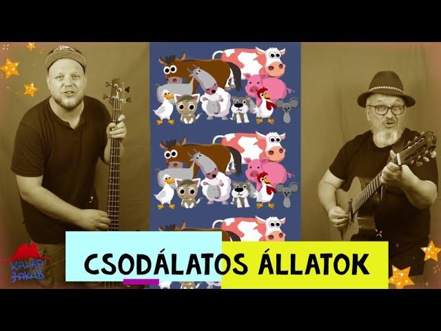 Csodálatos állatok - hangutánzós dal kicsiknek