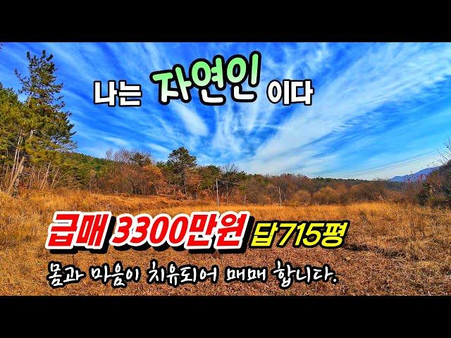 급매물 3300만원 715평(2,364㎡) 나는 자연인이다.숲과 산 속의 조용한 휴양처 찾는 분 몸이 치유되어 매매합니다. 부여부동산 토지매매~행운집 행운땅부동산 전원주택 주말농장