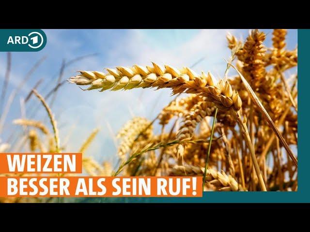 Weizen: Wie ungesund ist das Getreide wirklich? | ARD GESUND