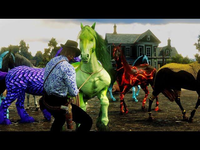 The Best Horse Tamer | Taming unique and Mysterious Horses you will ever see