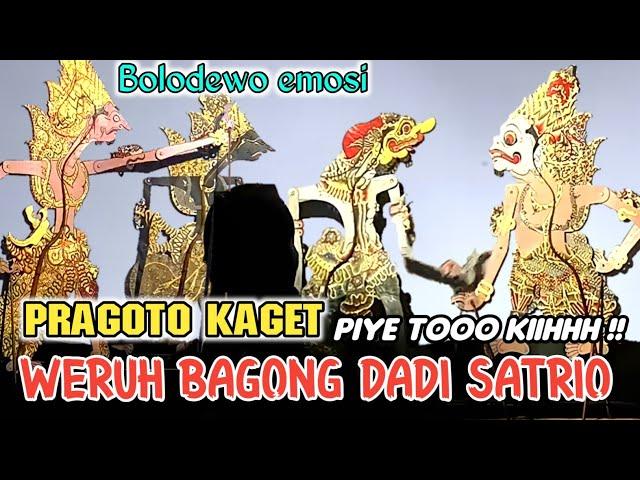 Bolodewo ngamuk pragota kaget weruh bagong dadi satrio sekti, lakon lucu ki seno nugroho