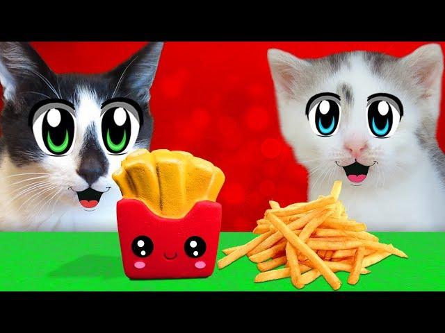 CHALLENGE SQUISHEES! CAT KID and CAT MURKA and Squishy Food VS REAL FOOD CHALLENGE! TOYS ANTISTRESS