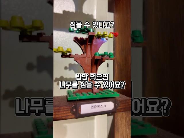 밥만 먹으면 나무를 보호 할 수 있다고?