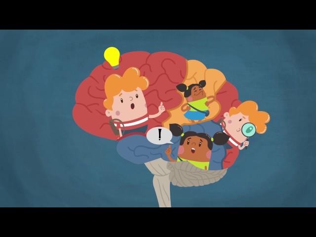 How Alcohol Affects Your Developing Cerebral Cortex