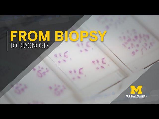 From Biopsy to Diagnosis