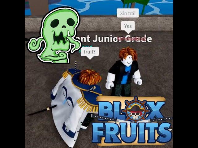 Giving Fruit to Bacon is GONE WRONG! Blox Fruits 
