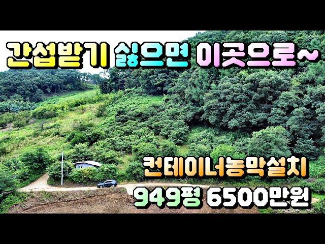 매물번호[597]충주토지급매물/전기 인입되어 있는 농막포함 저렴하게 토지매매합니다. 간섭없이 단독생활하기 좋아요~#충주부동산#충주전원주택급매물#충주토지급매물