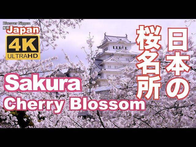 4K Japan Cherry Blossom Spots(sakura)日本の桜名所 絶景 京都 Kyoto 吉野山 弘前公園 上野公園 新宿御苑 姫路城 千鳥ヶ淵 花見 満開 観光 旅行