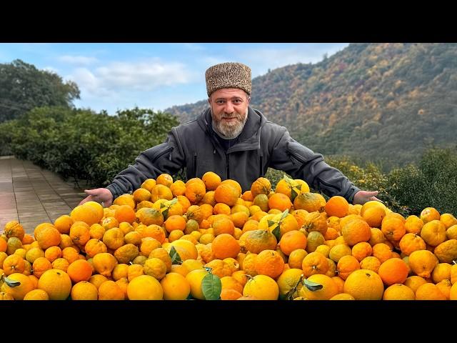 Citrus Madness: Baked Juicy Fish with Nut Explosion Flavor