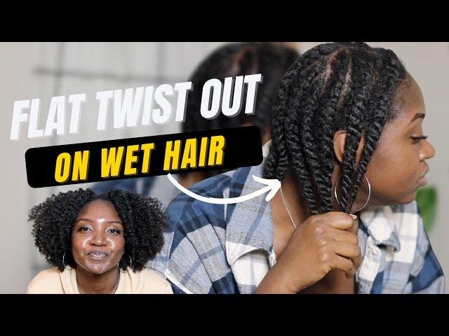 Flat Twist Out on Wet Curly Hair | Comparing Mousses