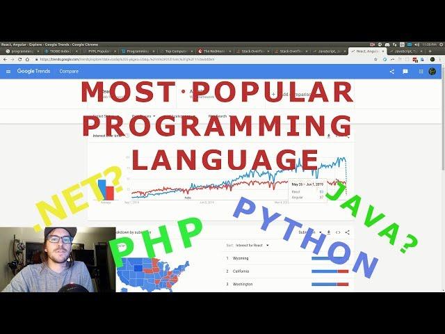 What is the most popular programming language (2019)