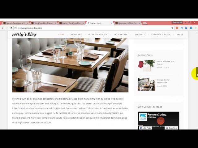 Everly - WordPress Blog Theme Review and Bonus