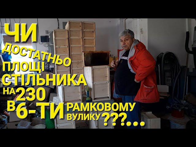 Чи достатньо площі стільника на 230 в 6-ти рам. вулику???... #пчеловодствов6тирамочныхульях