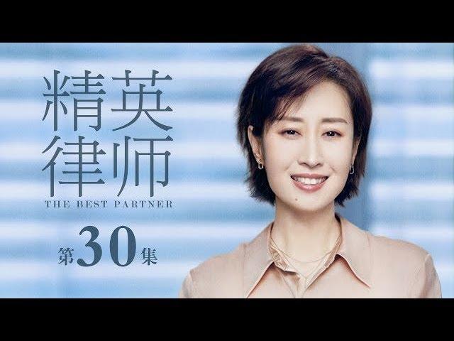 【ENG SUB】精英律師 30 | The Best Partner 30（靳東、藍盈瑩、孫淳等主演）