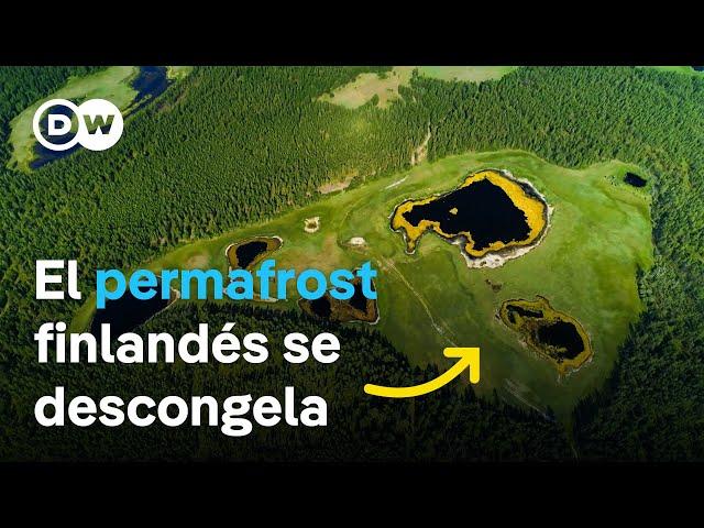 Pantanos que se derriten - ¿Cómo puede la naturaleza frenar el cambio climático? | DW Documental