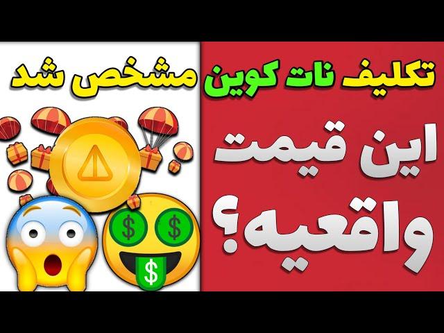 تکلیف نات کوین مشخص شد/این قیمت واقعیه؟/چند میلیون پول مفت