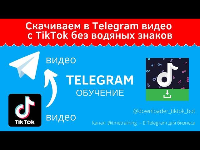 Скачиваем в Telegram видео с TikTok без водяных знаков