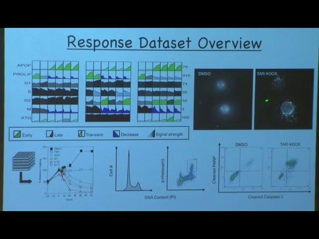 Harnessing Cross Talk Between Signaling Pathways to Improve Cancer Tr