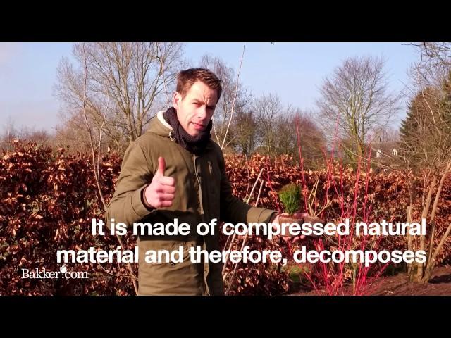 Gardening - in a jiffy!