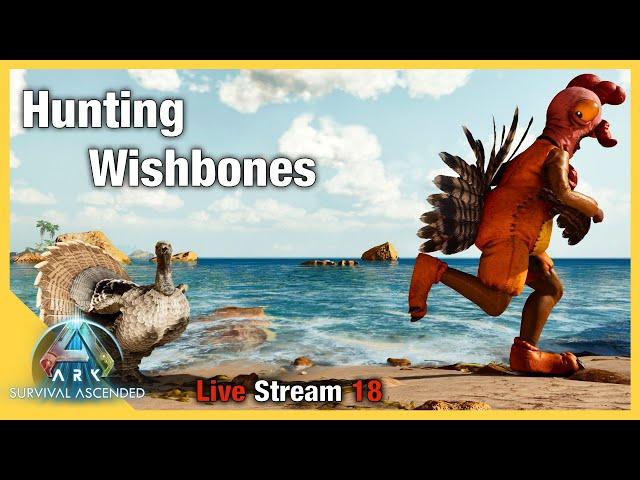 Ark Survival Ascended | Hunting Turkeys for Wishbones | Ep 18