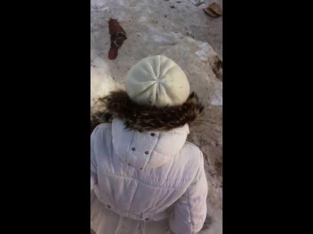 #Зимний влог :)# Диана Клепова