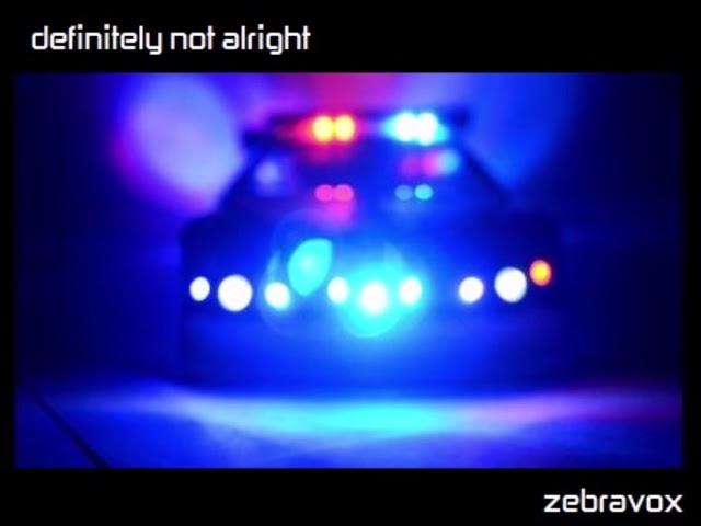 Zebravox - Definitely Not Alright - Alternative Reggae