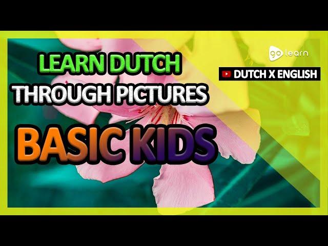 Learn Dutch Through Pictures |Dutch Vocabulary Basic Kids | Golearn