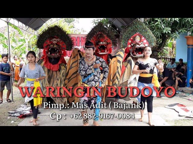 LOUNCHING PERDANA || WARINGIN BUDOYO_Barongan Kudus