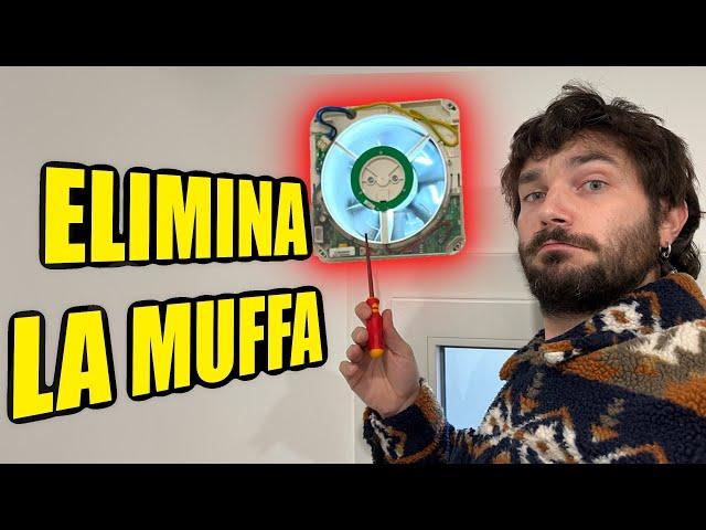 How to ELIMINATE mold from rooms FOREVER - VMC Puntale fantini cosmi Rhinocomfort