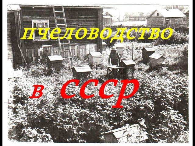 Фильмы СССР о Пчеловодстве  Пчеловодство для начинающих