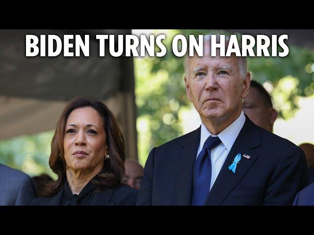 Biden is ‘damaging Dem party’ by insisting he would have beaten Trump if he'd run in election