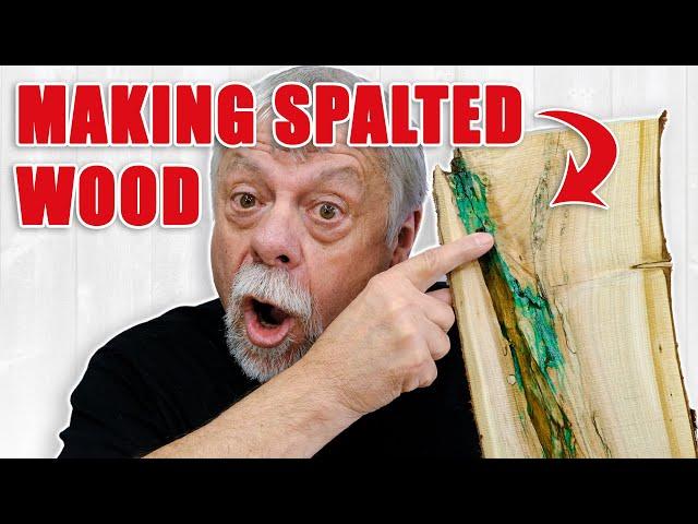 Making Spalted Wood in The Workshop EASY!