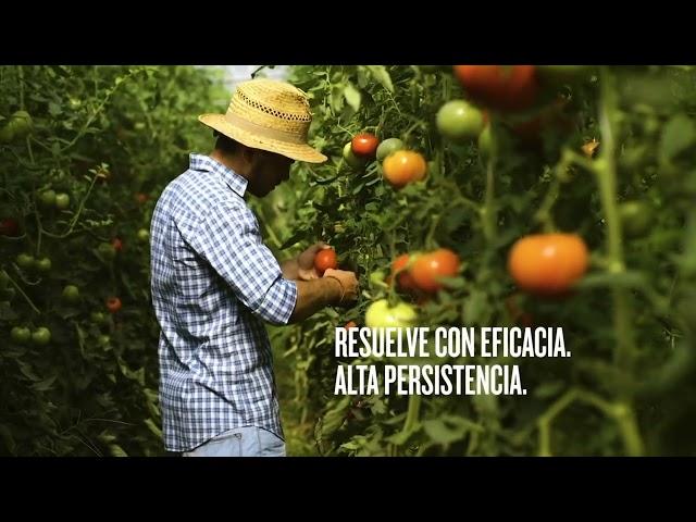 Insecticida y acaricida de última generación responsable con el medio ambiente: Incipio de Syngenta.