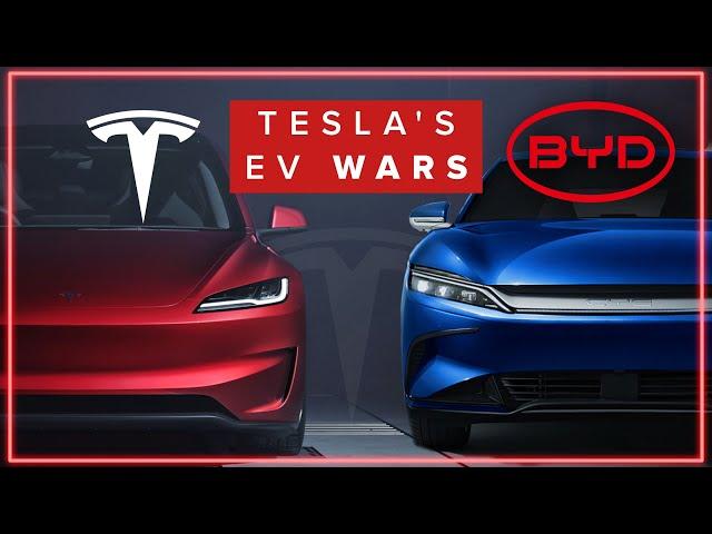 The TRUTH About Chinese BYD & Tesla | Which Is The Best?