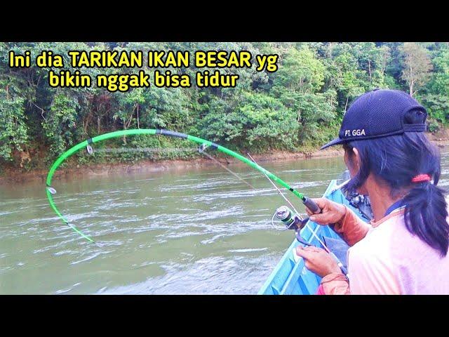 Mancing baung kuning di sungai arus deras  ADA SAMBARAN TAK TERDUGA