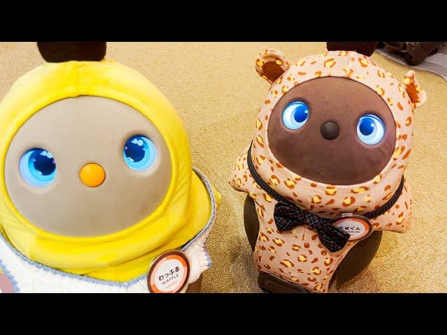 Visiting Japan's Cute Robot Cafe | LOVOT cafe