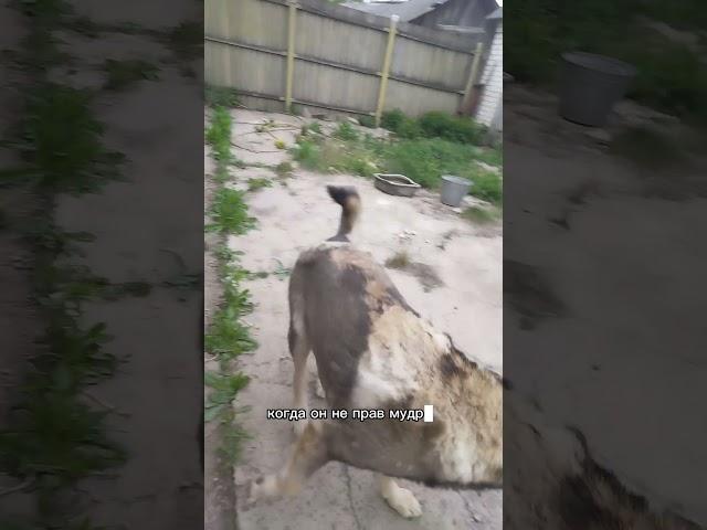 человек признающий свои ошибки мудр