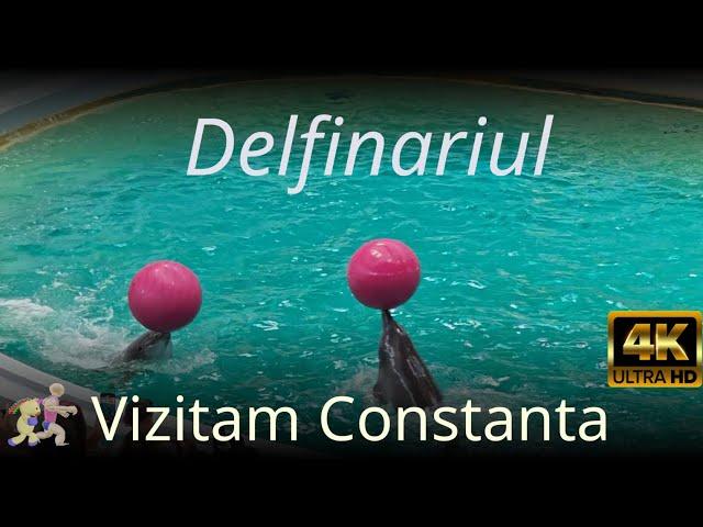 [Romania ]  Delfinariul Constanta | 4K