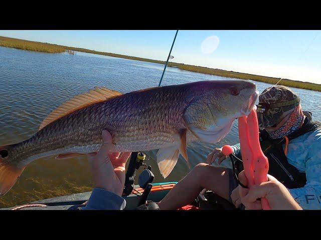 Tank Redfish Limit In The Marsh Kayak Trip