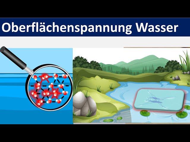 Oberflächenspannung von Wasser [Biologie + Chemie, Mittelstufe]