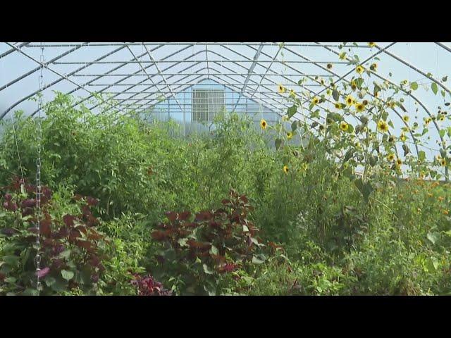 Black farmers, growers head to Springfield to lobby for equity in agriculture