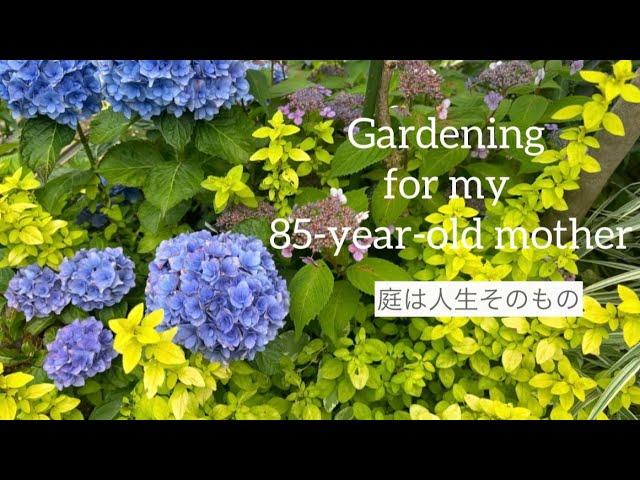 85歳の母命輝く庭老いと向き合い今を楽しむターシャのような母　My 85-year-old mother will stand in the garden as