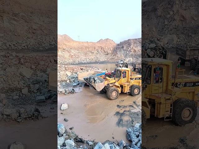 BOBCAT Loader in Action: Unbelievable Speed & Precision in Trailer Loading! #shorts #bobcat