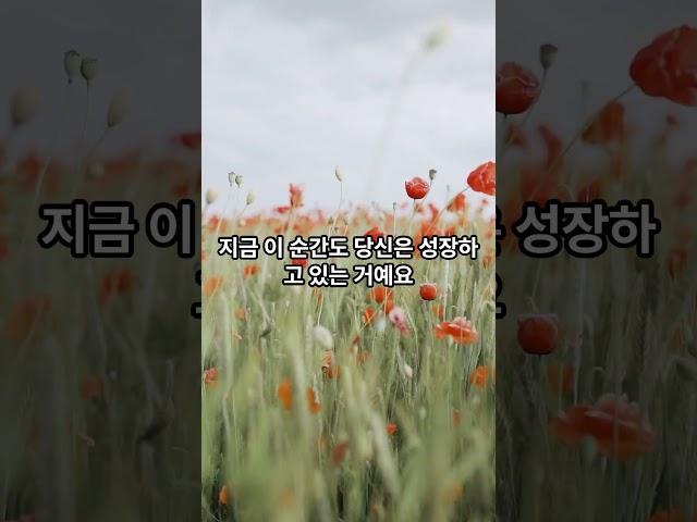 [오늘 하루, 당신에게 전하는 위로의 한마디 ]