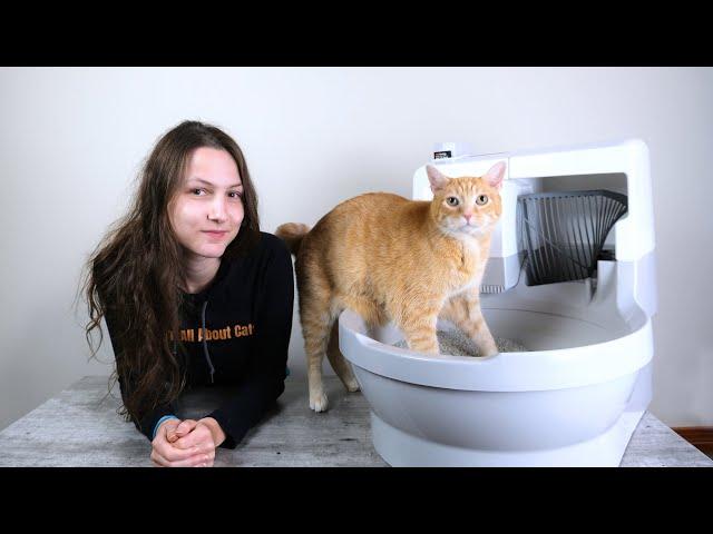 Cat Genie Self-Flushing Litter Box Review (We Tested it for 3 Weeks)