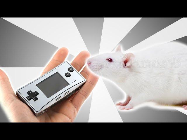 Nintendo Rattenfalle | Alte Werbung Synchronisiert