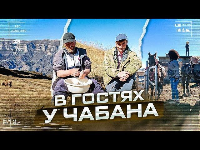 Реальный Дагестан. Кто такой чабан? Шамиль делает сыр. Готовим чуду. Гостевой дом "Истоки"