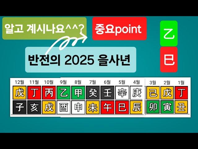 반전의 2025 을사년️