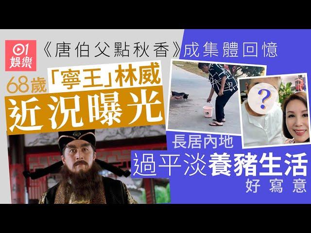 68歲「寧王」林威近況曝光網民幾乎唔認得 居內地過平淡養豬生活｜01娛樂｜林威｜寧王｜唐伯虎點秋香