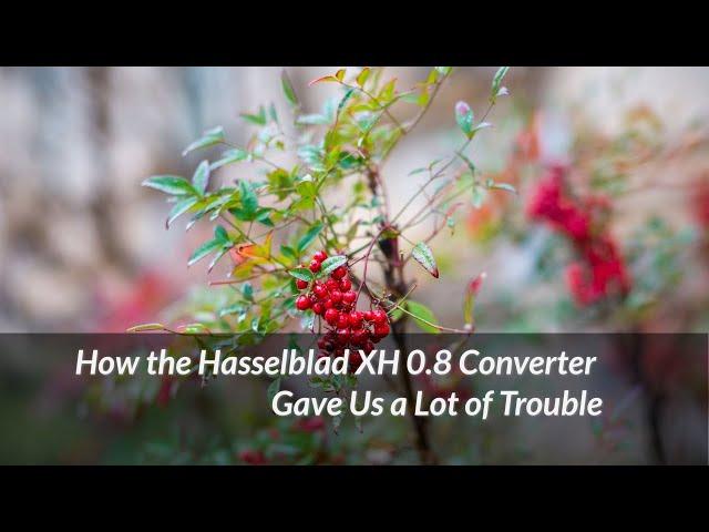 How the Hasselblad XH 0 8 Converter Gave Us a Lot of Trouble